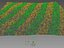 3D mowed lawn grass model