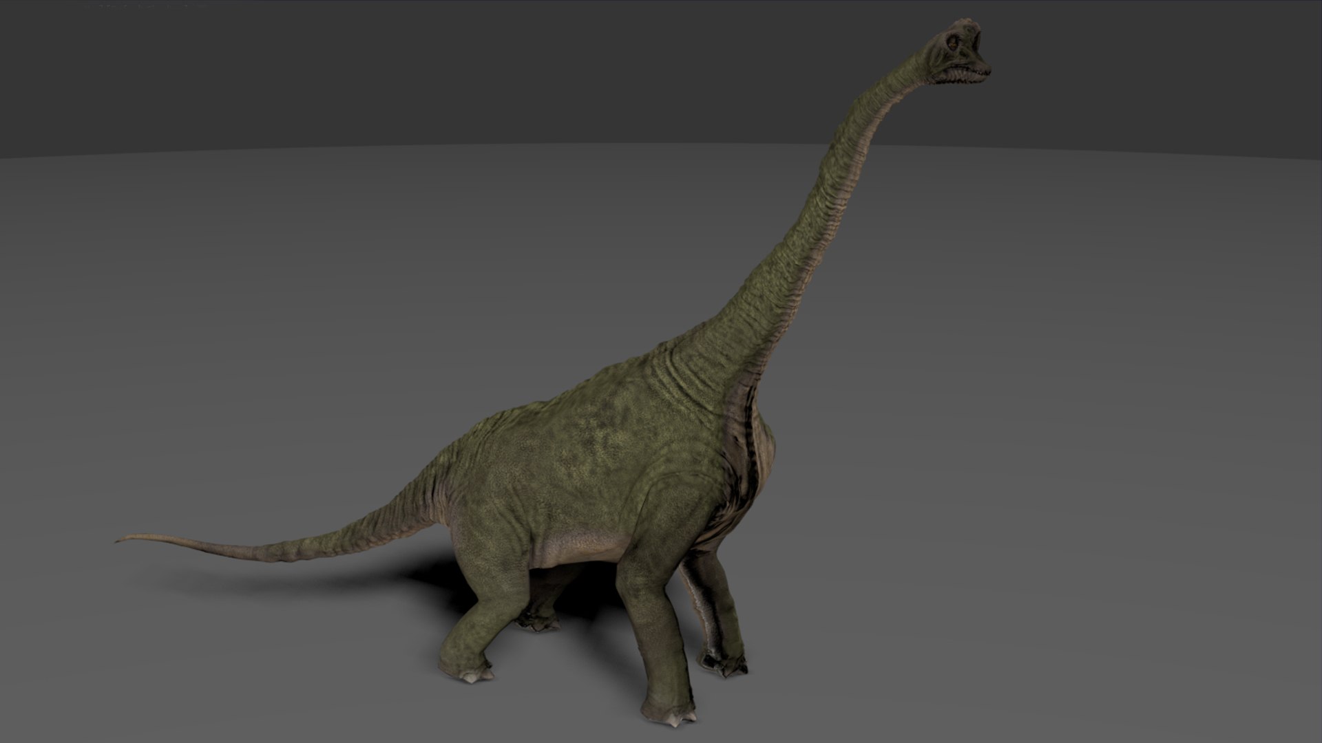 Brachiosaurus Dinosaur 3D Model - TurboSquid 2184482