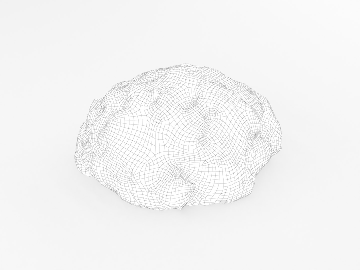 ground beef model https://p.turbosquid.com/ts-thumb/lW/iOSfOH/Ds1yhyXU/mincemeat_wireframe_0004/jpg/1580922441/1920x1080/fit_q87/163200b3f7bfaad8ca6d9073a5249f58de639b33/mincemeat_wireframe_0004.jpg