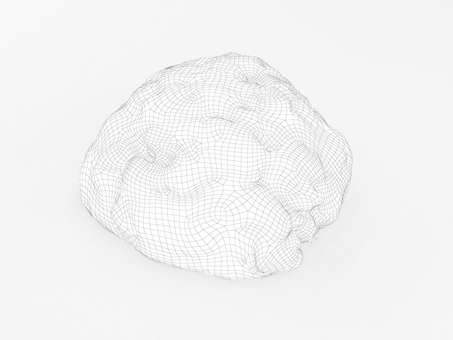ground beef model https://p.turbosquid.com/ts-thumb/lW/iOSfOH/mHWDk9Mc/mincemeat_wireframe_0000/jpg/1580922439/1920x1080/fit_q87/3ba8ea012990bc133c60988e44c861de7e2529df/mincemeat_wireframe_0000.jpg