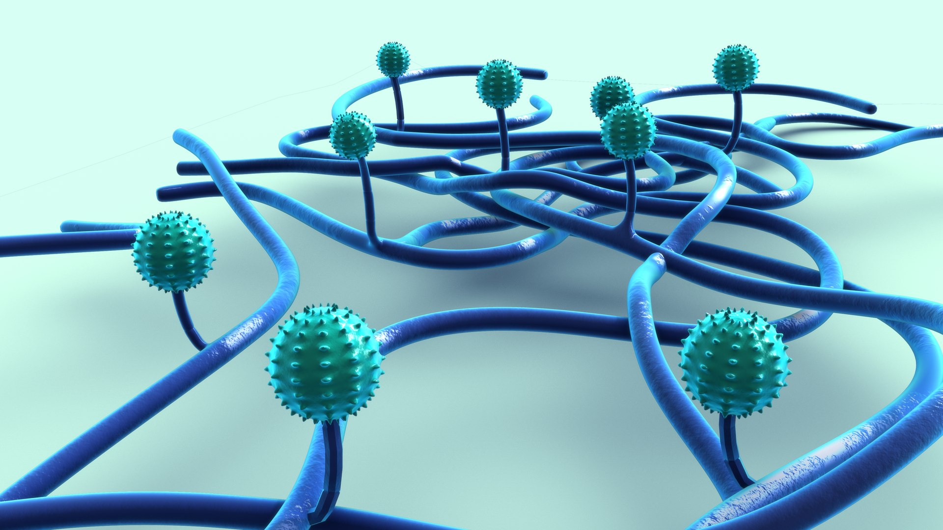 Penicillium 3D https://p.turbosquid.com/ts-thumb/lW/vwOKFz/UC/pennicillium_0005/jpg/1700028016/1920x1080/fit_q87/f6a9d424d8caebe873c15e2395233e9dbc9167bc/pennicillium_0005.jpg