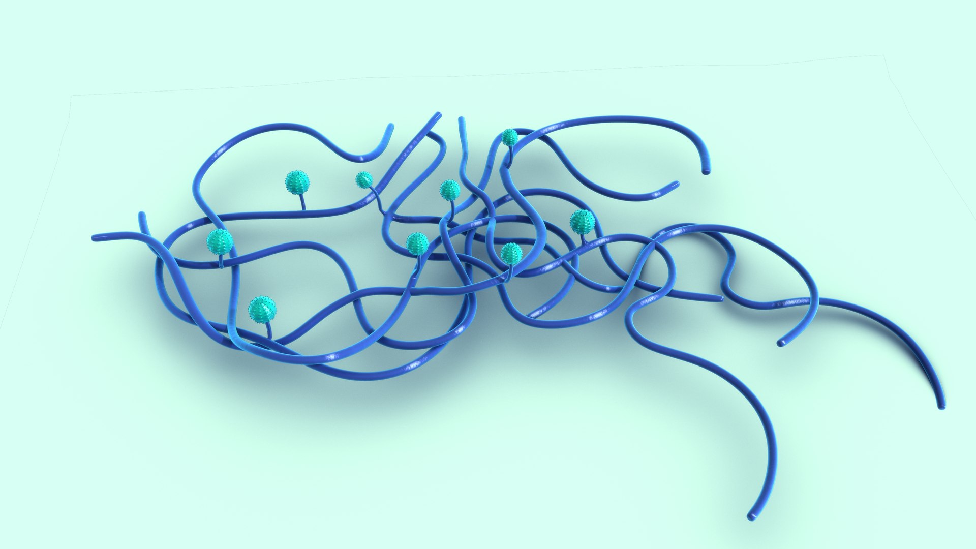 Penicillium 3D https://p.turbosquid.com/ts-thumb/lW/vwOKFz/Yk/pennicillium_0004/jpg/1700028014/1920x1080/fit_q87/f779694ca43d1f2f1fbbcf563729bc52b5e0fb31/pennicillium_0004.jpg