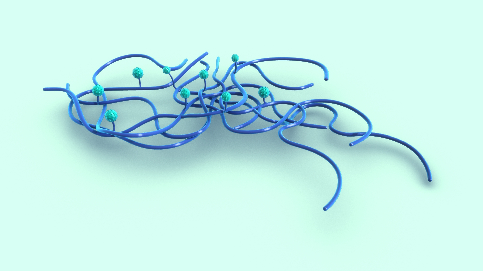 Penicillium 3D https://p.turbosquid.com/ts-thumb/lW/vwOKFz/zj/pennicillium/jpg/1700028019/1920x1080/turn_fit_q99/cea73cd31d78c3702fe00176de394889e97aafe5/pennicillium-1.jpg