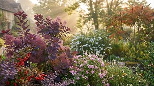 Collection 42 - Cottage Garden 3D model