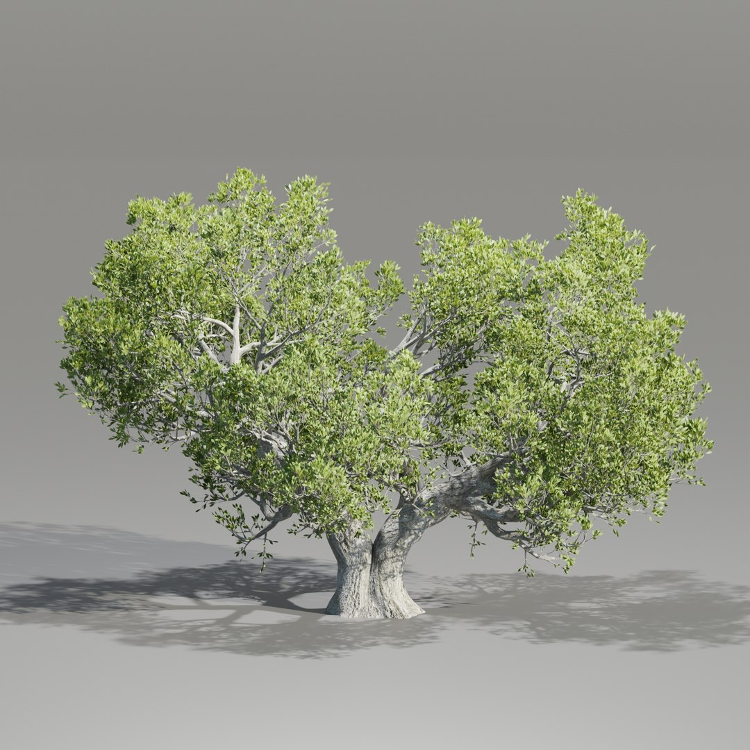 Natural Tree For Landscape Vol 219-Blender-3dmodel 3D Model ...