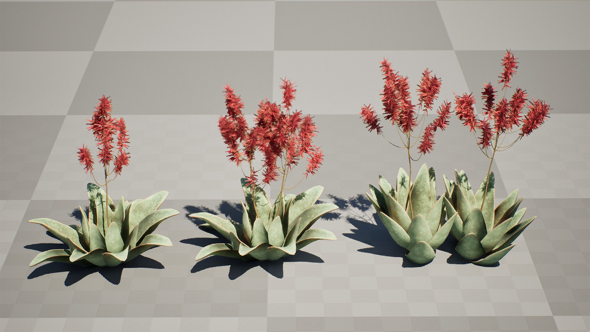 3D Coral Aloe 3D Model https://p.turbosquid.com/ts-thumb/lX/NDLMxy/I4/00highresscreenshot00000/jpg/1746479682/1920x1080/fit_q87/d43467bc4e73639255725dfe89c56ae7b6f8e6fd/00highresscreenshot00000.jpg