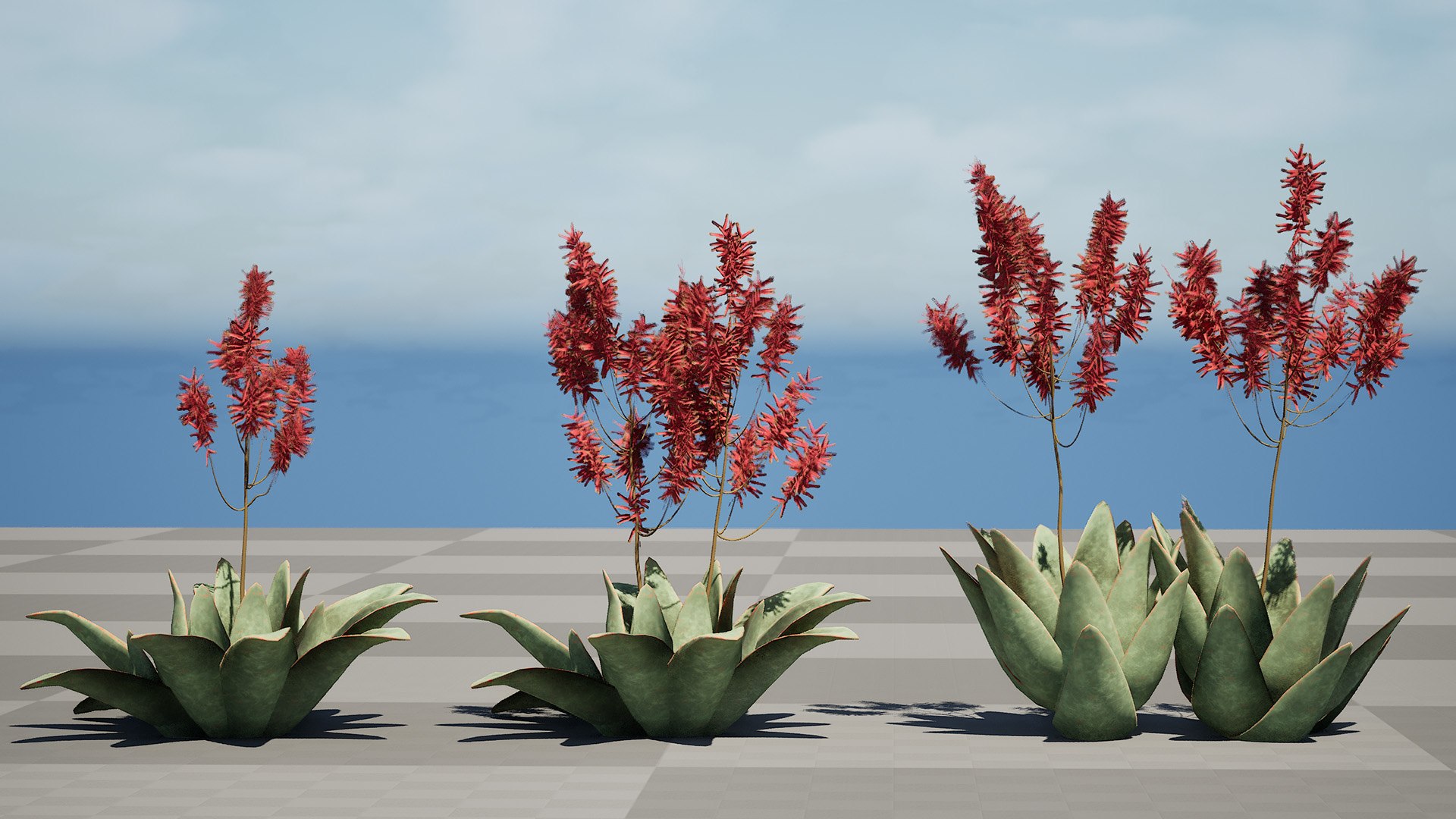 3D Coral Aloe 3D Model https://p.turbosquid.com/ts-thumb/lX/NDLMxy/iw/highresscreenshot00001/jpg/1746479686/1920x1080/fit_q87/b6c59b1f388246bcf3d441bfce57fe1d331ac7df/highresscreenshot00001.jpg