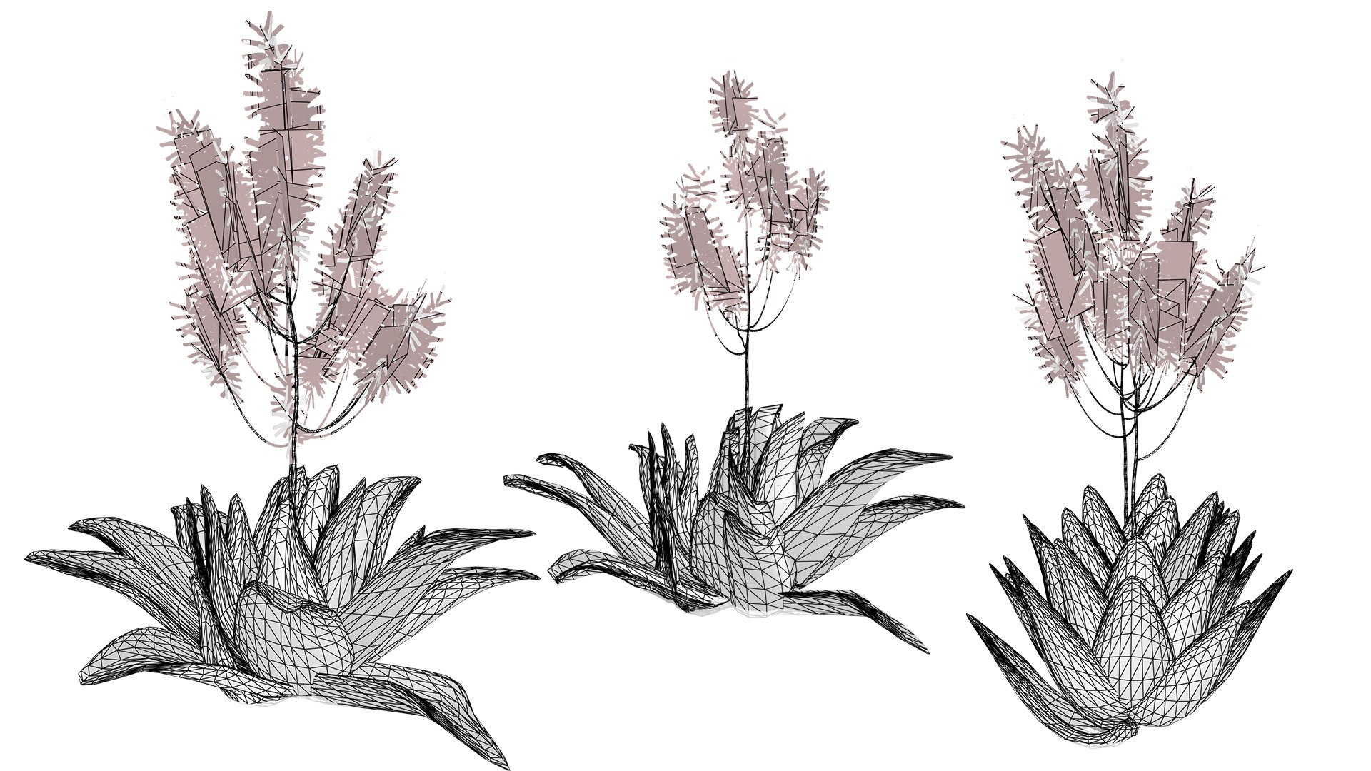 3D Coral Aloe 3D Model https://p.turbosquid.com/ts-thumb/lX/NDLMxy/sT/wirel/jpg/1746479687/1920x1080/fit_q87/b035023bddee6bfef846a1cbc1c7f16d7b6d3b19/wirel.jpg