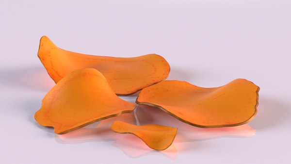 turmeric curcuma slice 3D model