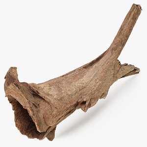 3D Driftwood Piece 03