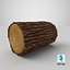 Tronco di legno 02