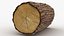 Tronco di legno 02
