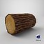 Tronco di legno 02