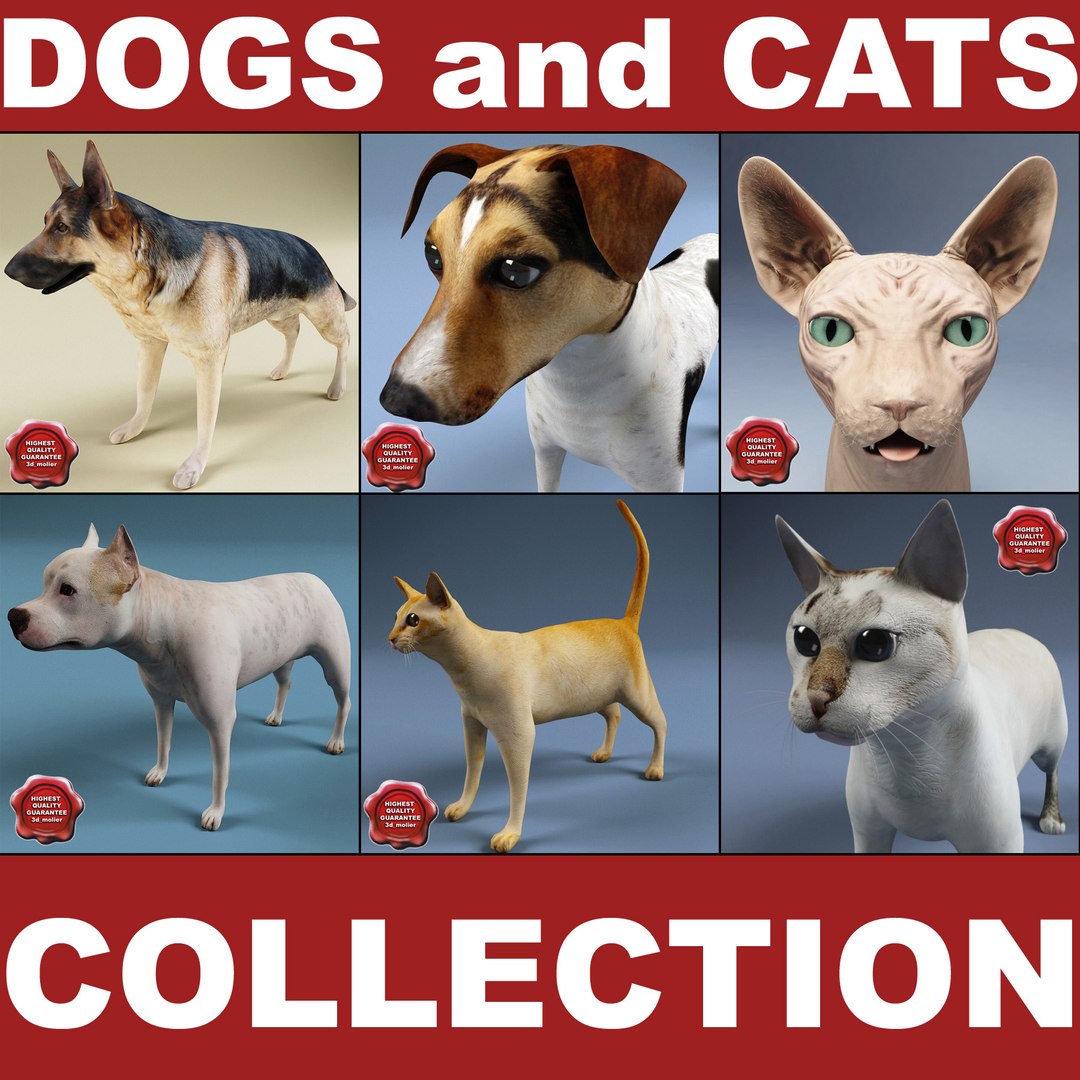 dogs cats 3d model https://p.turbosquid.com/ts-thumb/lX/bUJldX/hCarCZvB/dogs_and_cats_collection_00/jpg/1312910719/1920x1080/fit_q87/be6466d7333ddda31b35207257e0ad40fae59bfb/dogs_and_cats_collection_00.jpg