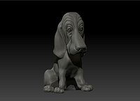 Basset Hound
