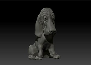 Basset Hound