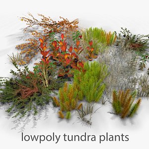 Lowpoly Tundra Plants