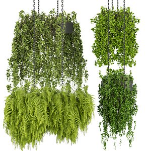 Collection plant vol 291 Indoor ampelous hanging cinema4d - 3max - blender 3D