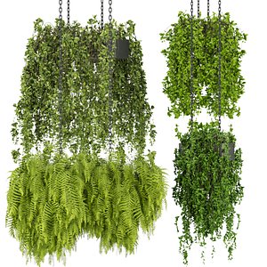 Collection plant vol 291 Indoor - ampelous - hanging -  cinema4d - 3max