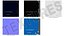 Black Diamond MiniWire Mousqueton Ouvert Bleu