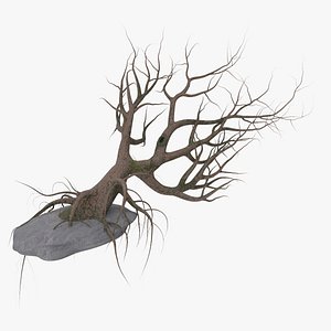 Old Tree 3D model