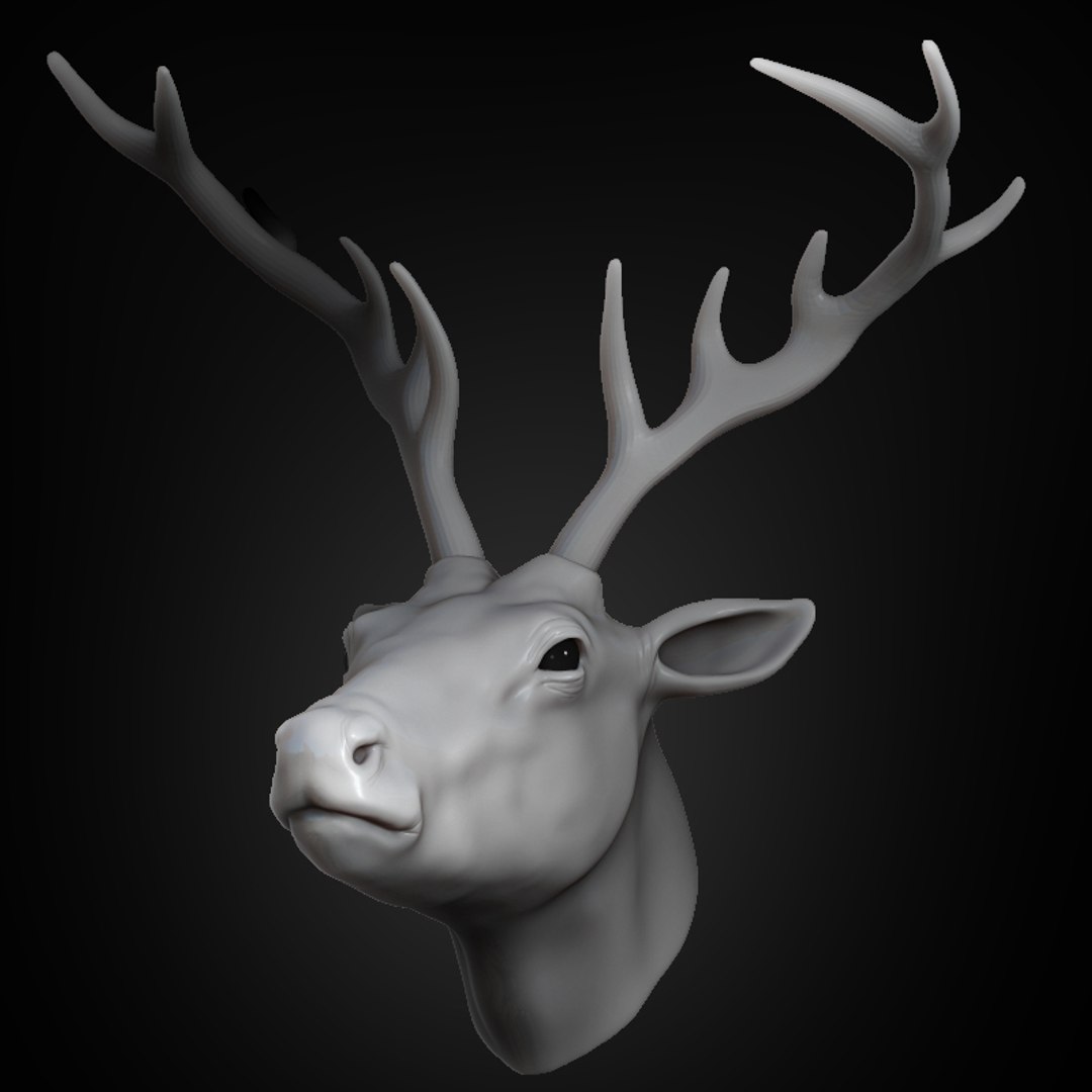 Deer Head Animal 2021 3D Model TurboSquid 1677721