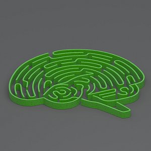 3D model Green brain maze