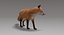 fox fur rigged 3D model