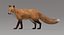 fox fur rigged 3D model