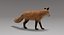 fox fur rigged 3D model