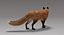 fox fur rigged 3D model