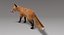 fox fur rigged 3D model