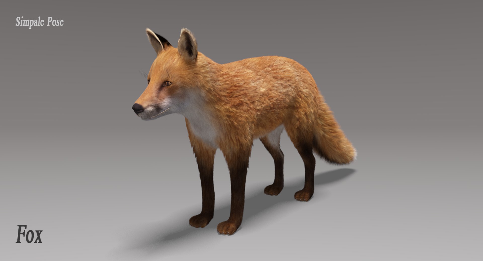 fox fur rigged 3D model https://p.turbosquid.com/ts-thumb/lY/mDVKxH/o7ly132C/foxfurriggedsimpalepose/png/1498814377/1920x1080/fit_q87/521ead9464e94a92255c2b4d6113f33dec14dc35/foxfurriggedsimpalepose.jpg