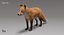 fox fur rigged 3D model