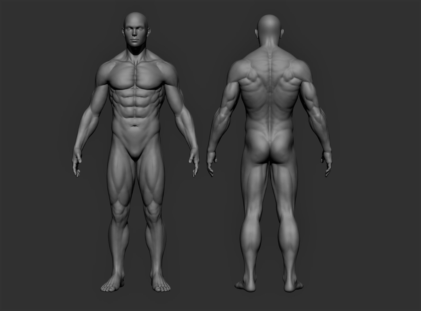 Realistic Male Full Body 3D model https://p.turbosquid.com/ts-thumb/lY/qRzTbd/1N/rehs/jpg/1622282628/1920x1080/fit_q87/13254570dcde8b469d281e171ce0bbd524f291bb/rehs.jpg