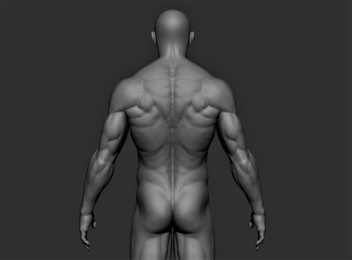Realistic Male Full Body 3D model https://p.turbosquid.com/ts-thumb/lY/qRzTbd/FP/bbera/jpg/1622282983/1920x1080/fit_q87/78d22230dedd7a03678889c4526644bd9a7a75ef/bbera.jpg