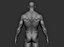 Realistic Male Full Body