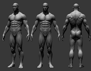 Realistic Male Full Body