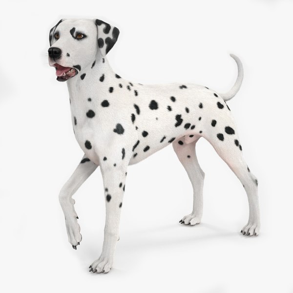 Holztiger 80063 Dalmata In Legno: Personaggio Piccolo In Piedi, Giocattolo Artigianale Per Bambini