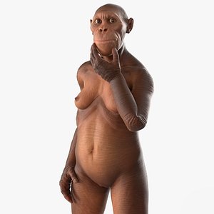 3D model Paleoanthropology Mannequin of Australopithecus Woman Rigged for Maya