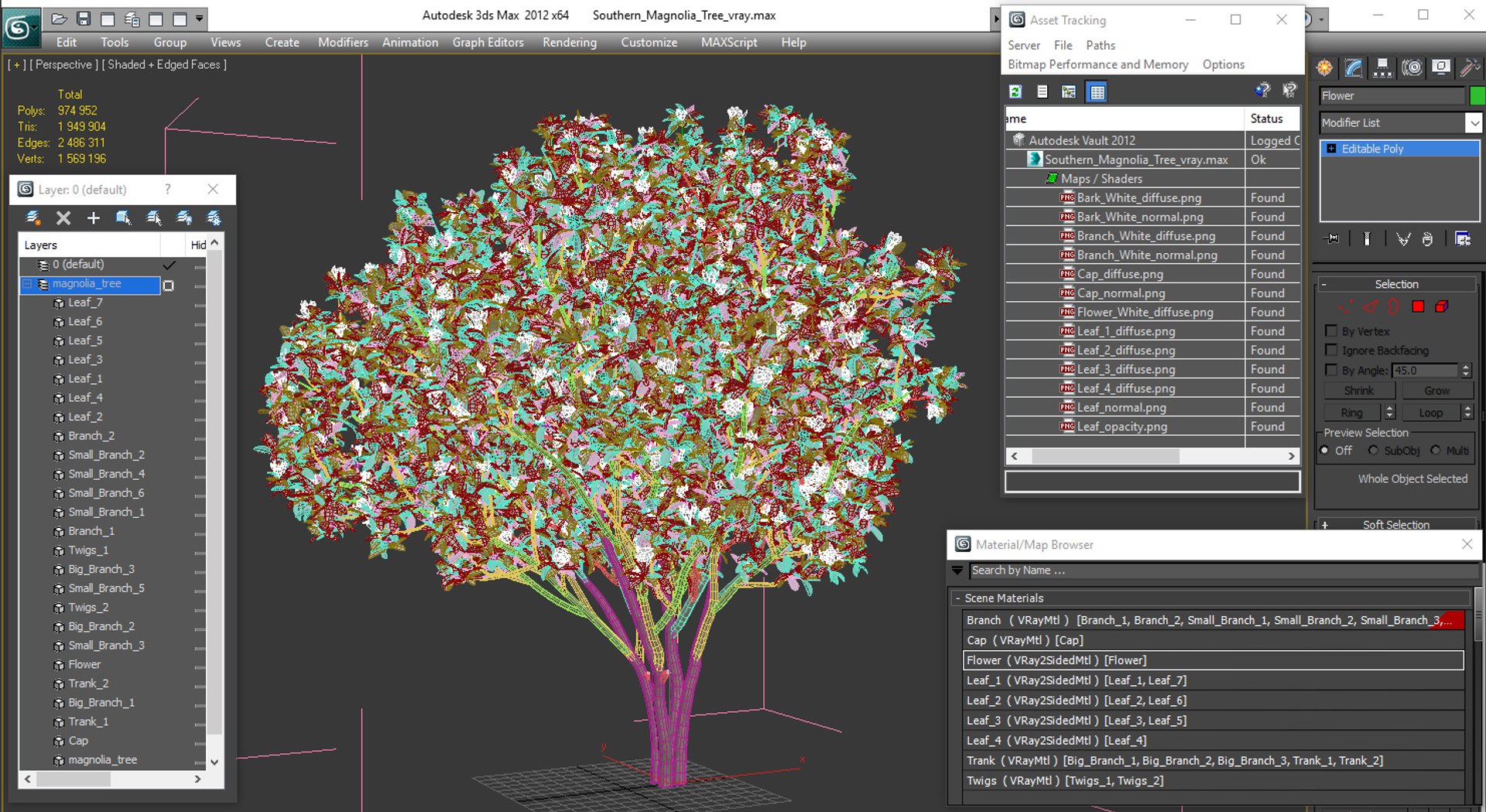 southern magnolia tree 3D model https://p.turbosquid.com/ts-thumb/lZ/1b7B8Z/IS7AAWTX/southernmagnoliatreemb3dmodel023/jpg/1559297511/1920x1080/fit_q87/0f21dea60a4156fb887f9f64eb52476aeec1ba7f/southernmagnoliatreemb3dmodel023.jpg