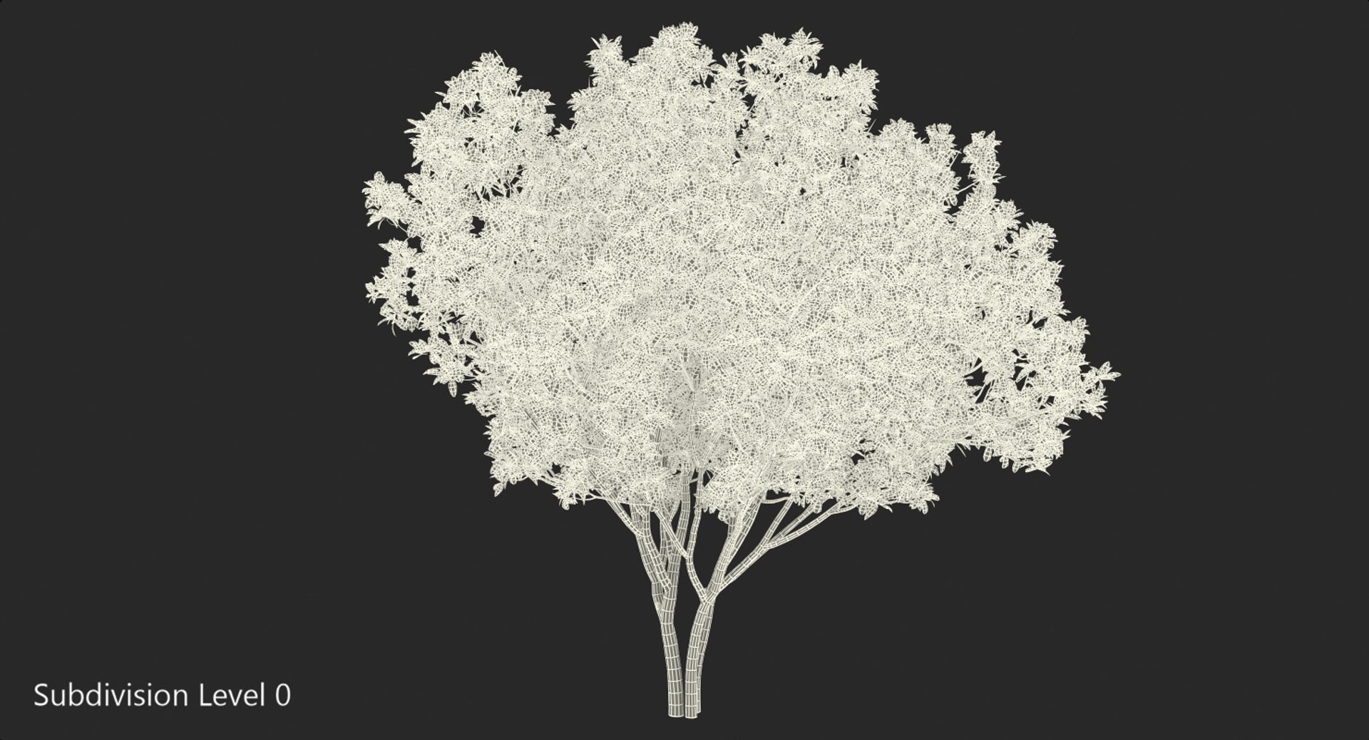southern magnolia tree 3D model https://p.turbosquid.com/ts-thumb/lZ/1b7B8Z/hoxLFRlu/southernmagnoliatreemb3dmodel017/jpg/1559297476/1920x1080/fit_q87/6a6500f71bbda99c4b2294f8a2806a8f004b80c0/southernmagnoliatreemb3dmodel017.jpg