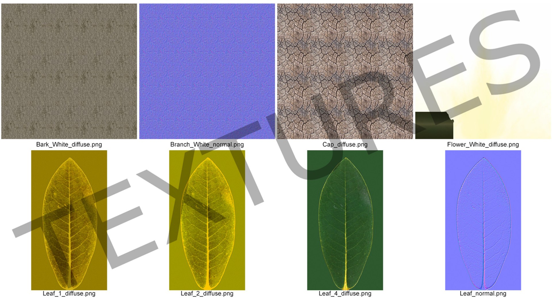 southern magnolia tree 3D model https://p.turbosquid.com/ts-thumb/lZ/1b7B8Z/vVYl5Mht/southernmagnoliatreemb3dmodel020/jpg/1559297493/1920x1080/fit_q87/55180e05ed448f4b19461fee20e79925a1179c84/southernmagnoliatreemb3dmodel020.jpg