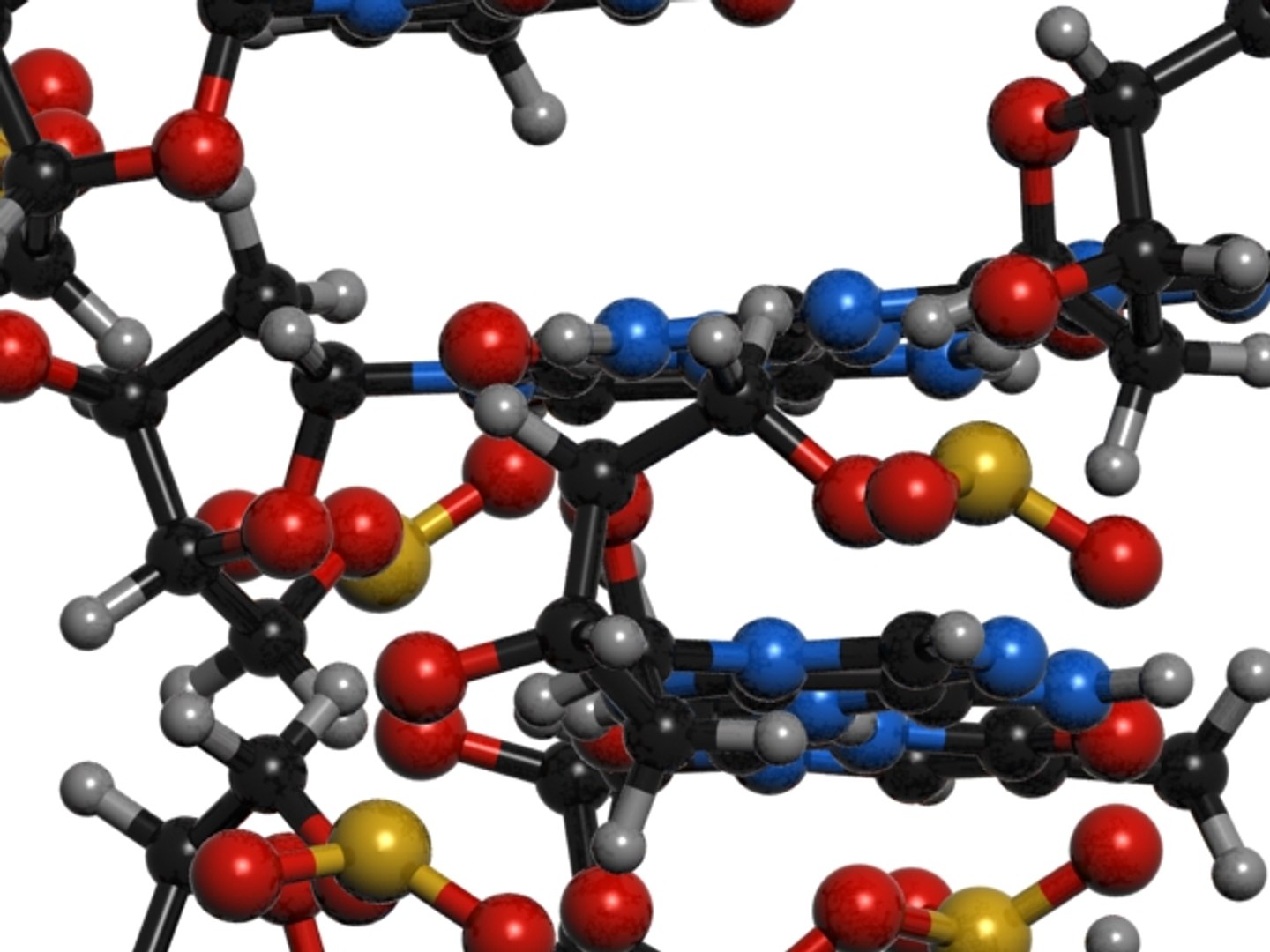 3d Model Dna Nucleic Acid