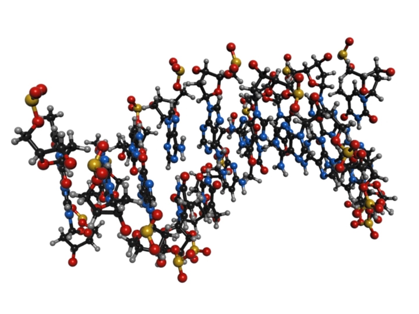 3d Model Dna Nucleic Acid