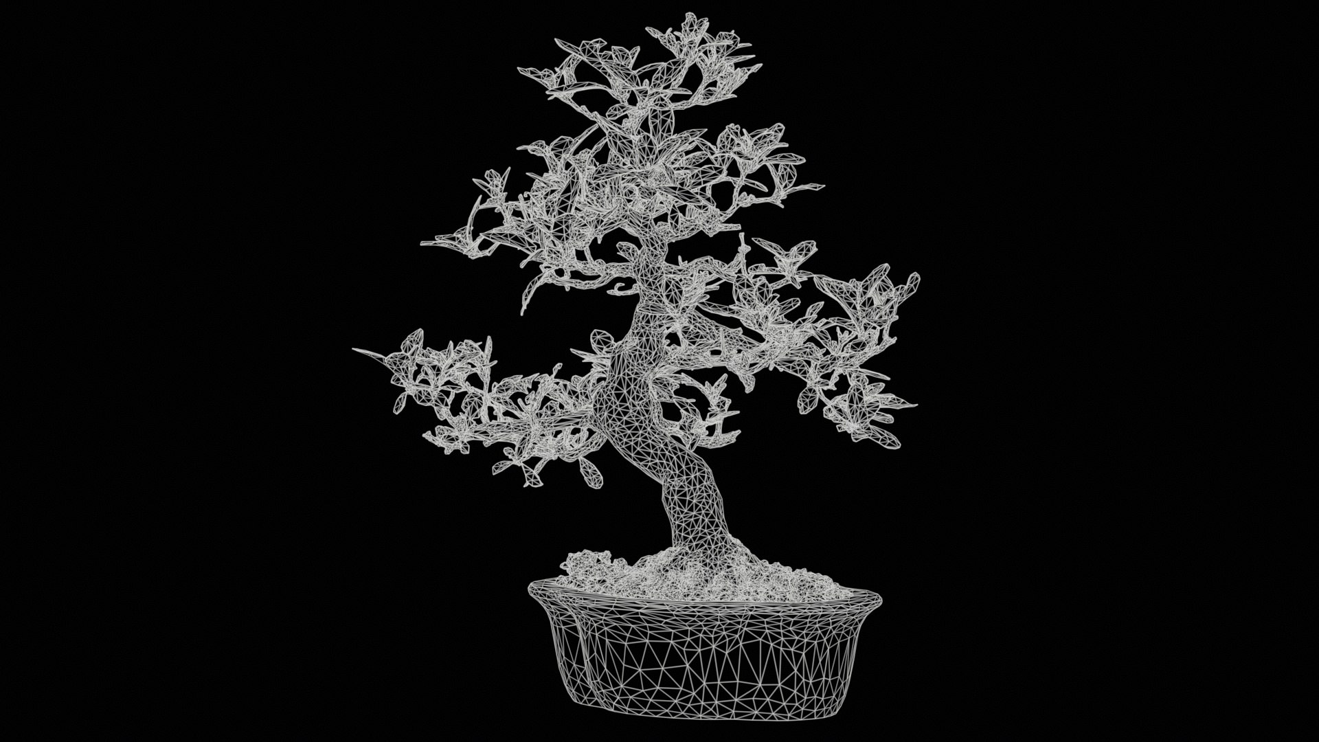 Carmona Bonsai Tree Leaves Carmonas Carmona Microphylla Remastered model https://p.turbosquid.com/ts-thumb/lZ/9uIY0C/uM/carmona_bonsai_tree_leaves_carmonas_carmona_microphylla_11/jpg/1740403495/1920x1080/fit_q87/a3bb652ed904853160f45a843775fe915d1aff35/carmona_bonsai_tree_leaves_carmonas_carmona_microphylla_11.jpg