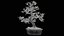 Carmona Bonsai Tree Leaves Carmonas Carmona Microphylla Remastered