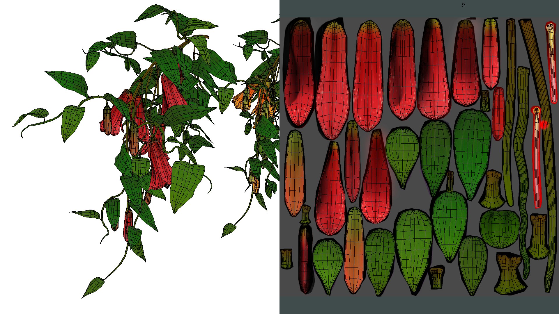 Flower Lapageria 3D https://p.turbosquid.com/ts-thumb/lZ/EtWN1O/Gb/flower_lapageria3/png/1696235148/1920x1080/fit_q87/0fc6c246a11dc6ef3e4c84719542809e7bcfb242/flower_lapageria3.jpg