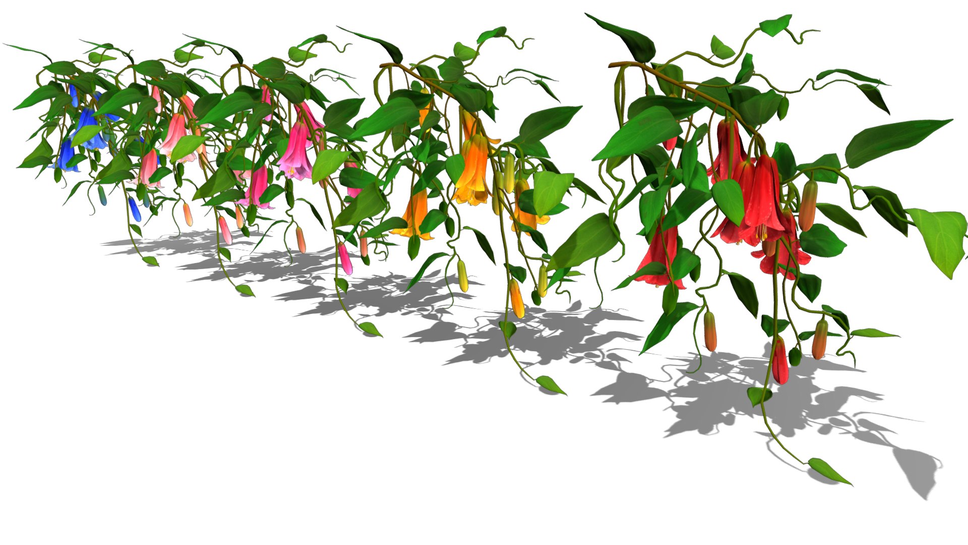 Flower Lapageria 3D https://p.turbosquid.com/ts-thumb/lZ/EtWN1O/u0/flower_lapageria/png/1696235153/1920x1080/fit_q87/47e038c09ca6580db553095fd1faccc6b9c7fb7b/flower_lapageria.jpg