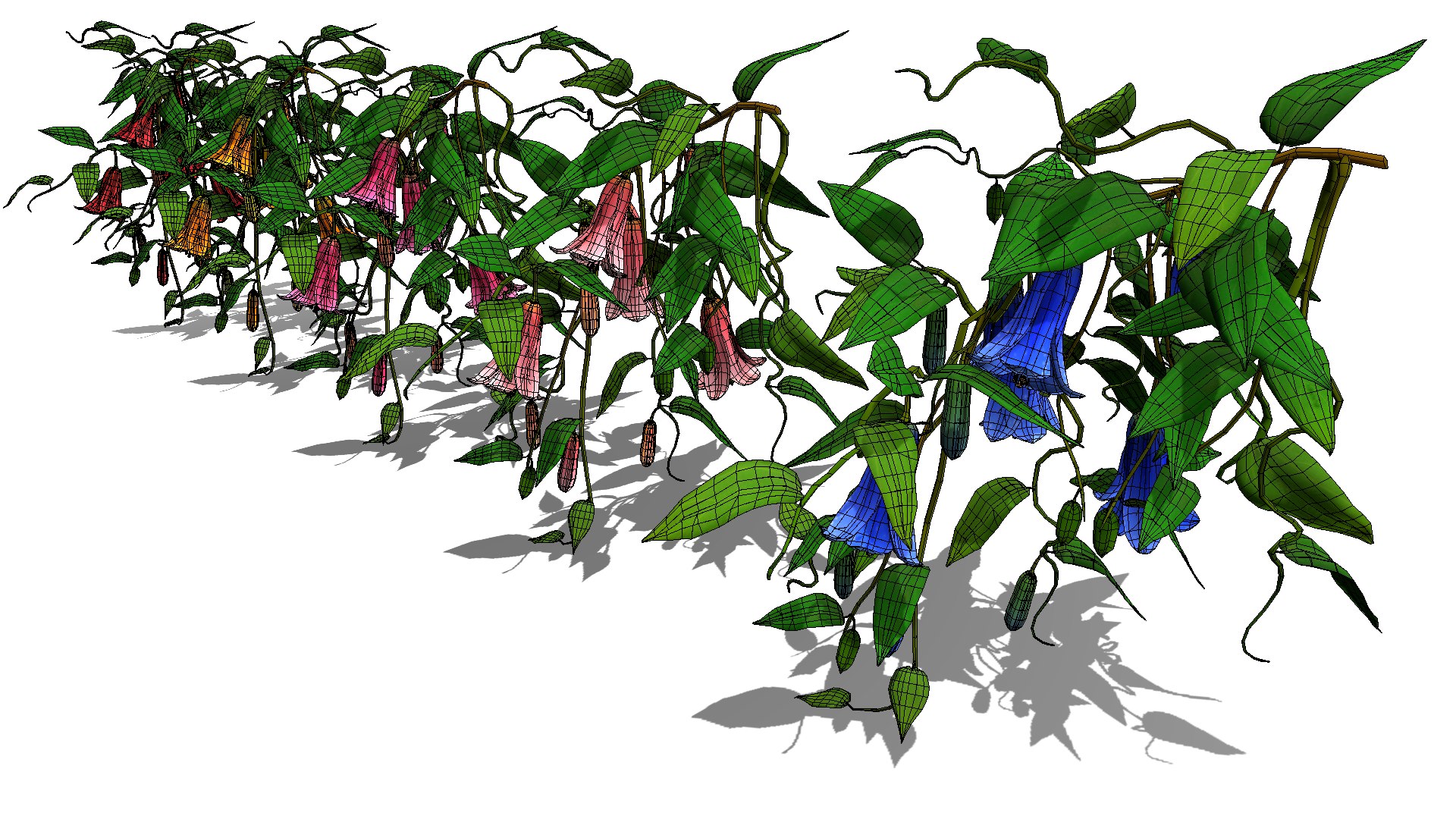 Flower Lapageria 3D https://p.turbosquid.com/ts-thumb/lZ/EtWN1O/xY/flower_lapageria1/png/1696235147/1920x1080/fit_q87/427a13fd84c60539272215b36ff4250a11858a47/flower_lapageria1.jpg